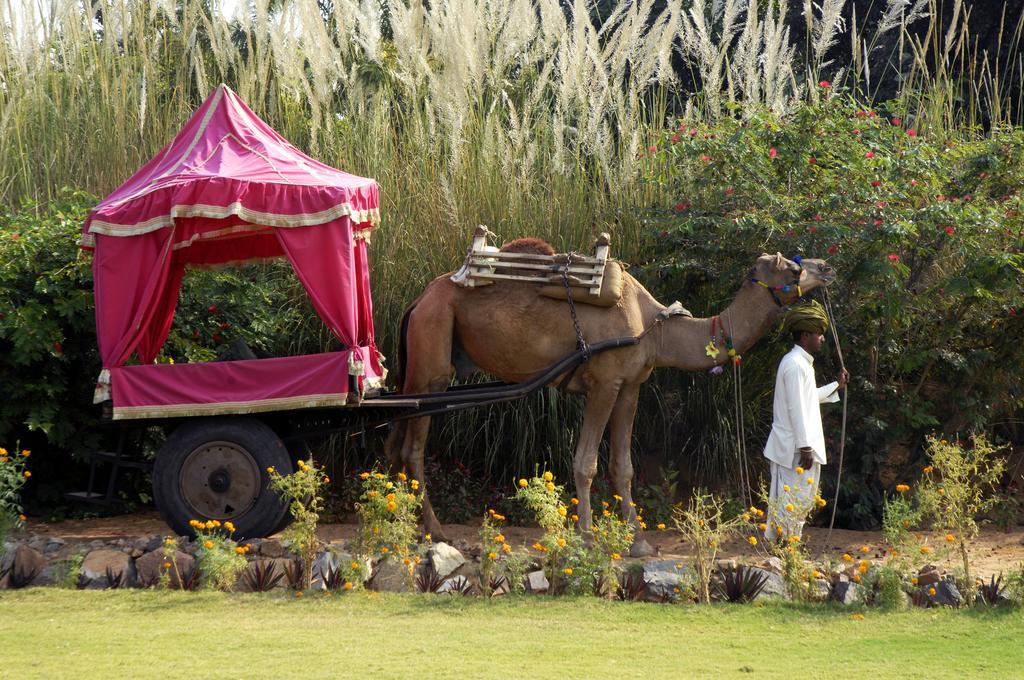 Pushkar Resort Exterior foto