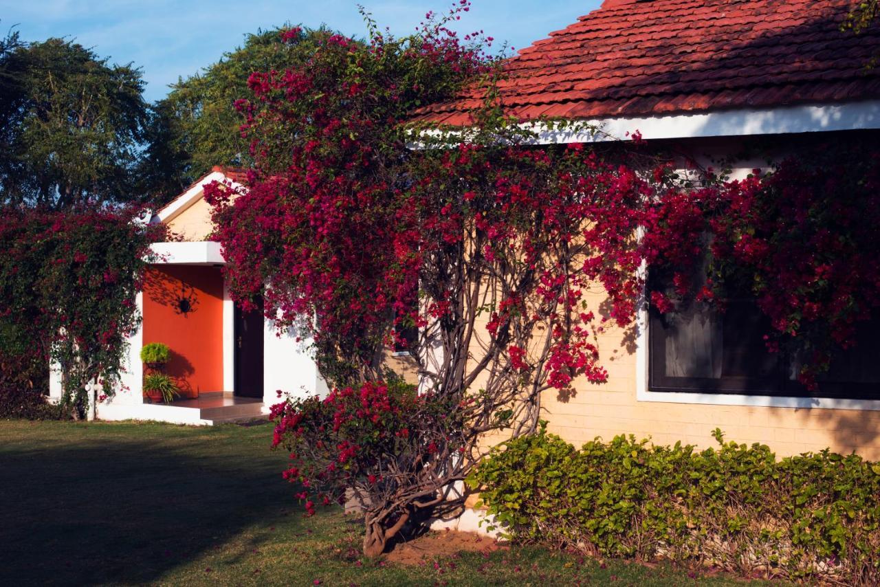 Pushkar Resort Exterior foto